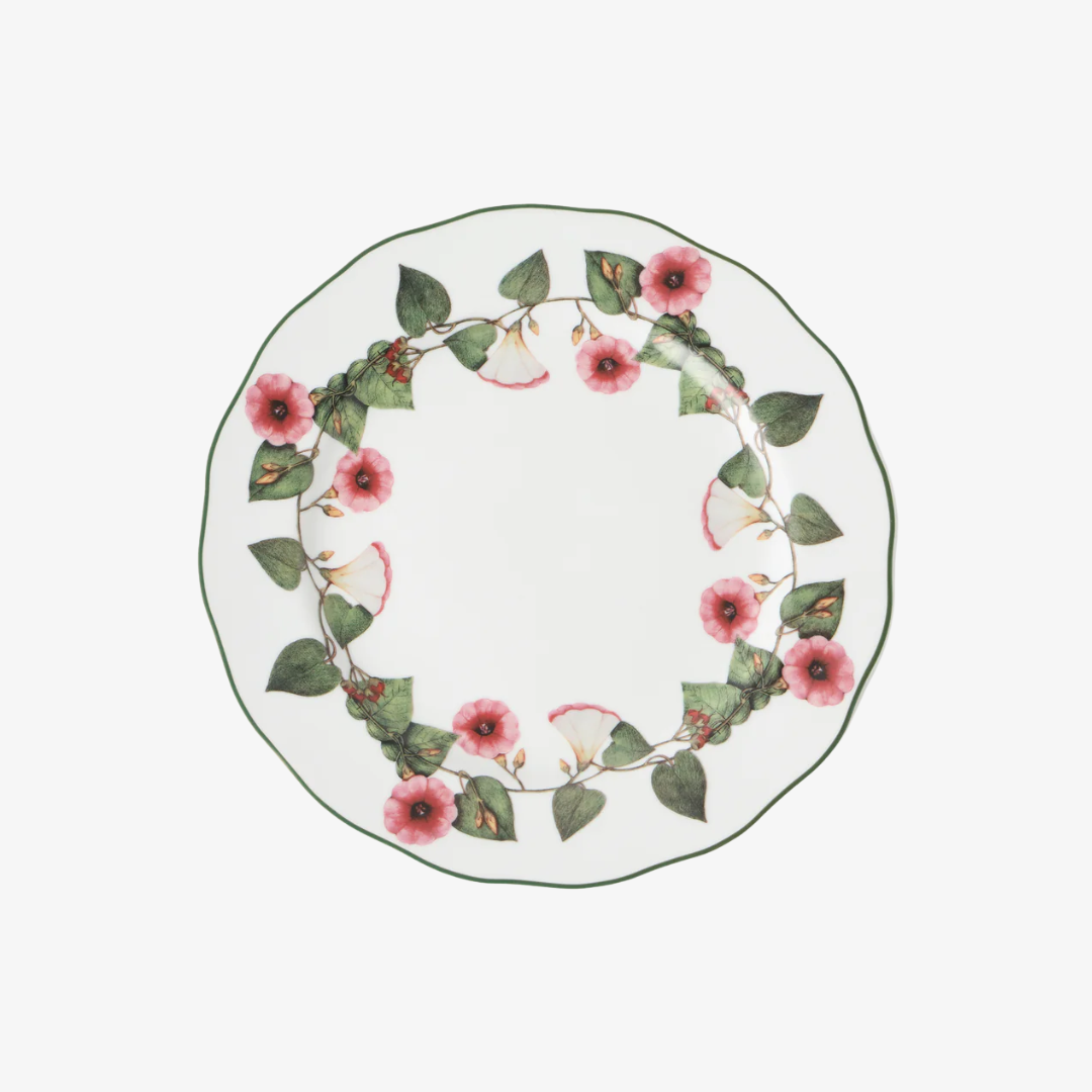 Ciclamino Dinner Plate, Set of 4