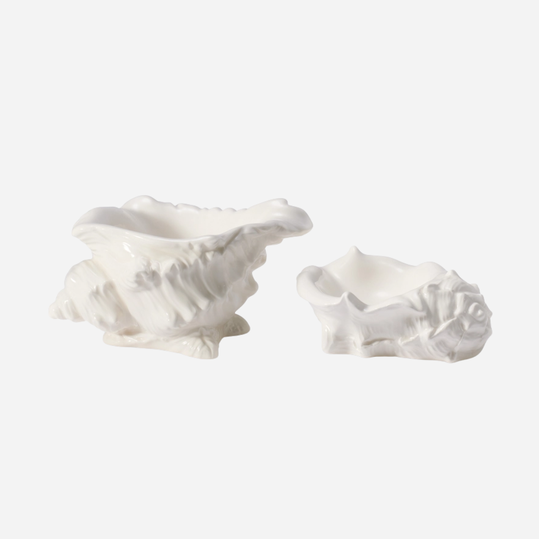 Conch Shell Dish, Set of 2