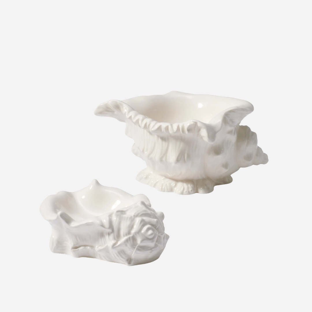 Conch Shell Dish, Set of 2