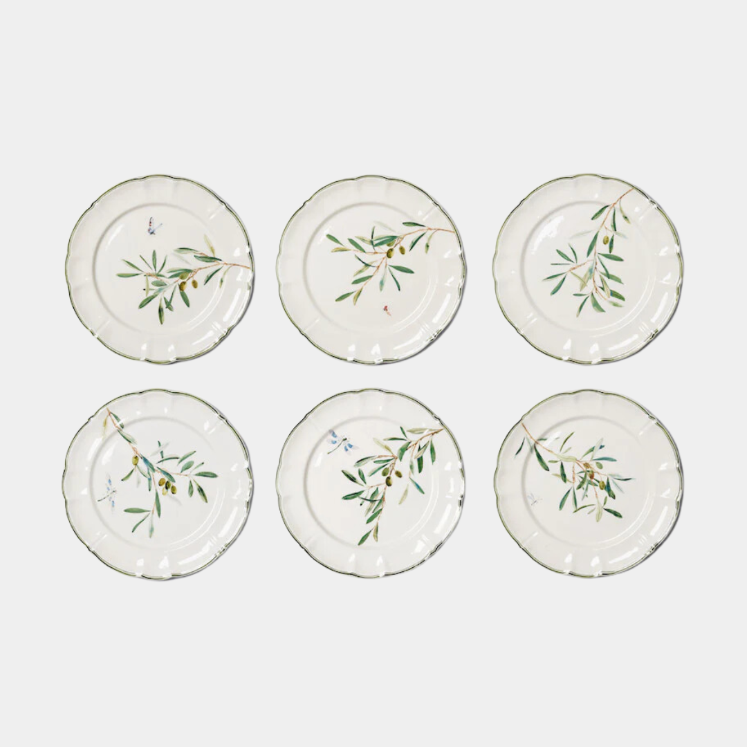 Ulivi Dinner Plates, Set of 6