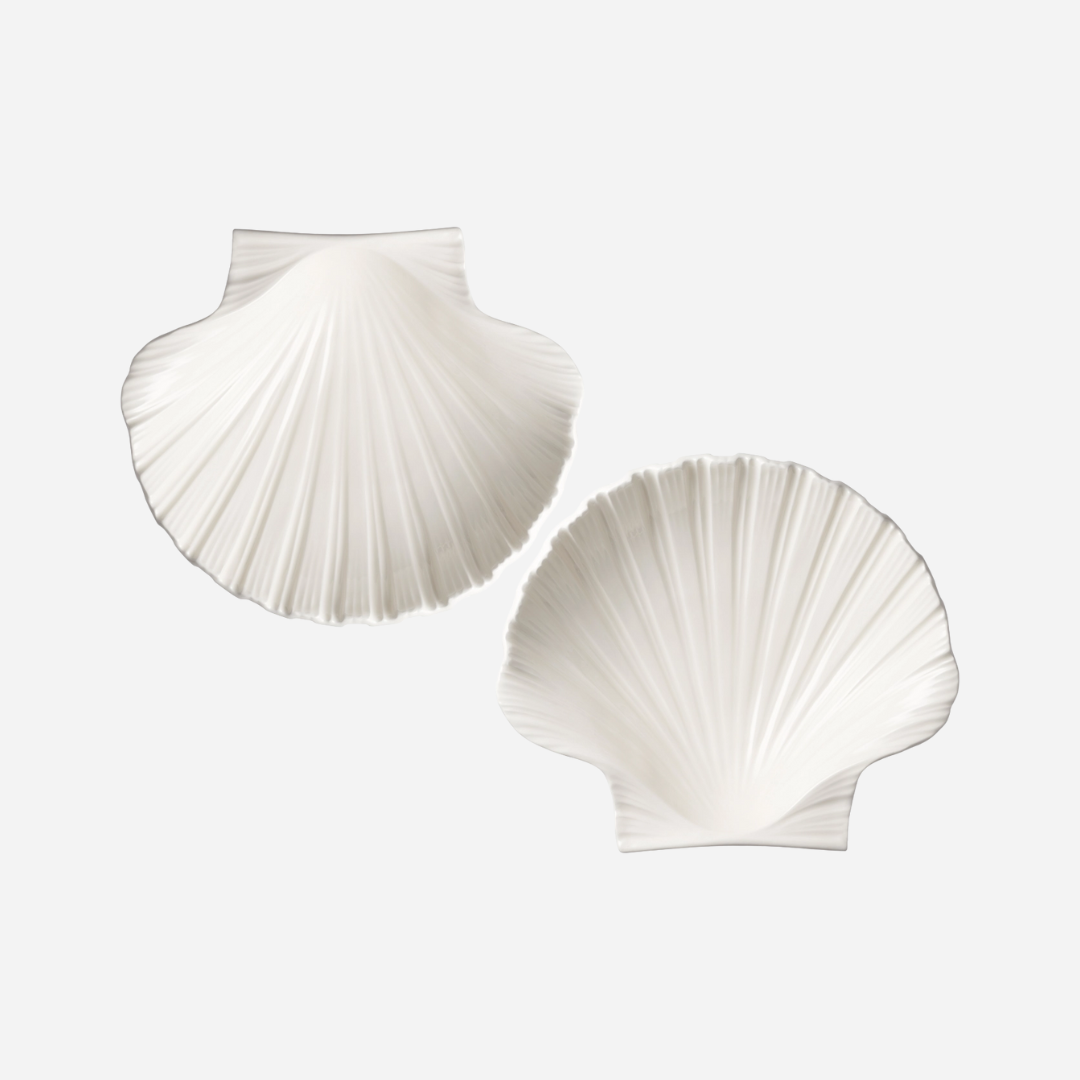 Shell Dish, Set of 2