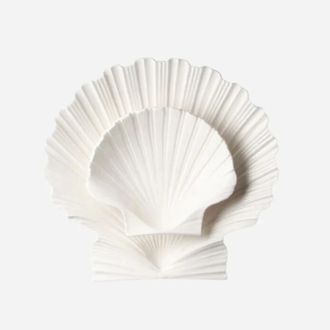 Shell Plate, Medium